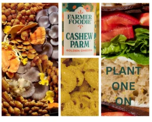 Plant-Based Options from the Summer Fancy Food Show